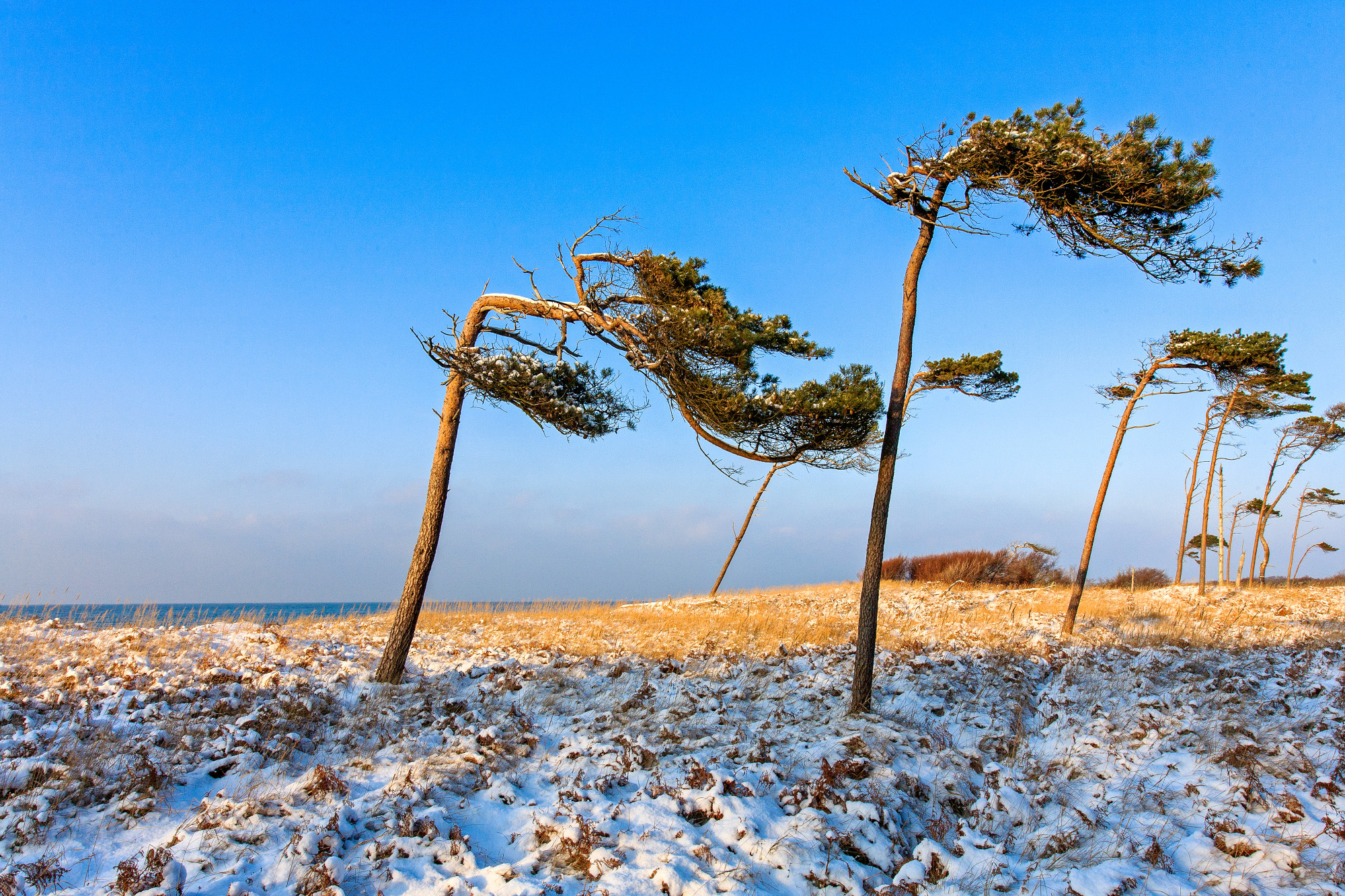 Weststrand im Winter