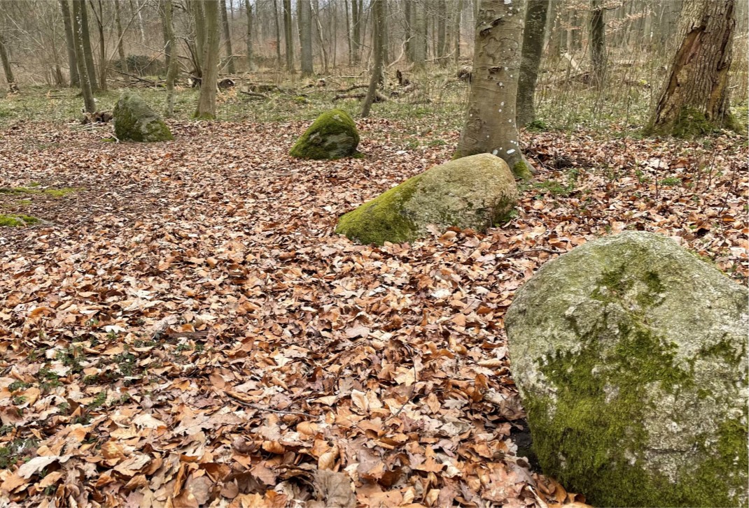 Die Saaler Apostelsteine (Geführte Radtour) 